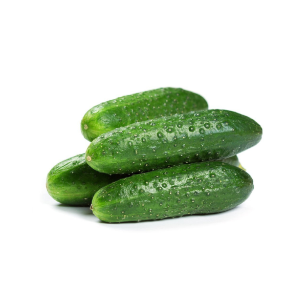 Cucumber (kheera) Seeds